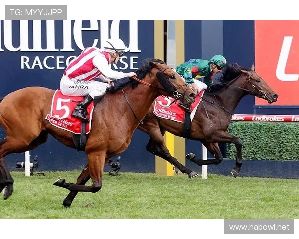 体育联赛闭幕式简讯的简单介绍sports